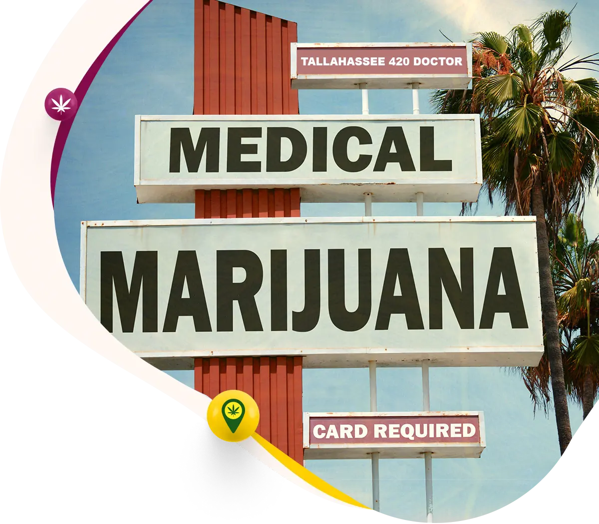 Find the Best Cannabis Doctor in Tallahassee, Florida - Professional and Knowledgeable Staff