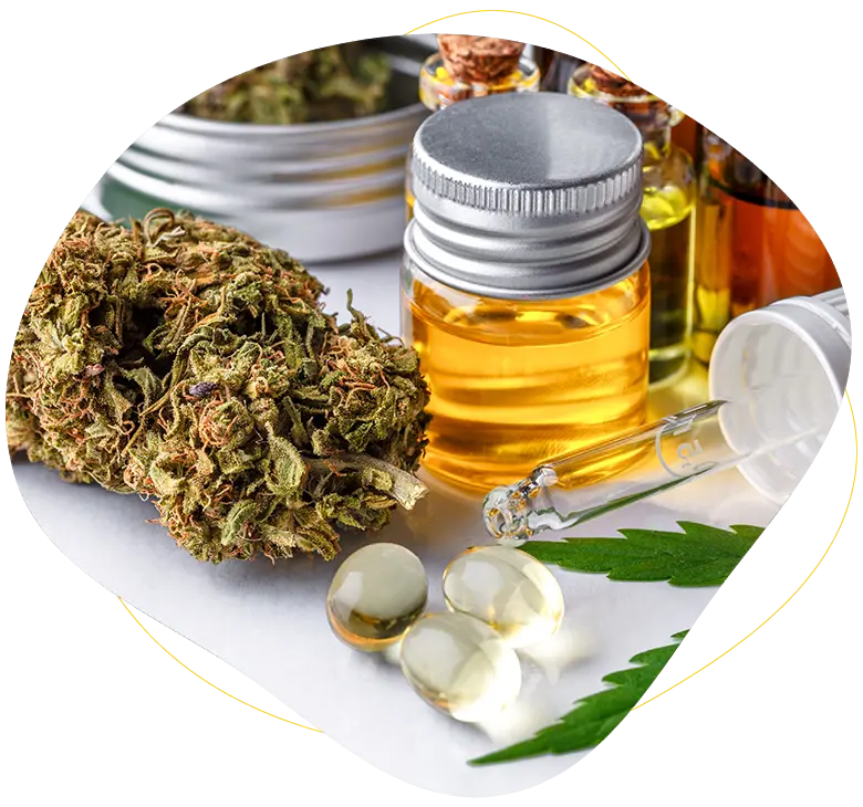 Marijuana Certification in Tallahassee, FL - Safe and Reliable with Tallahassee 420 Doctor.